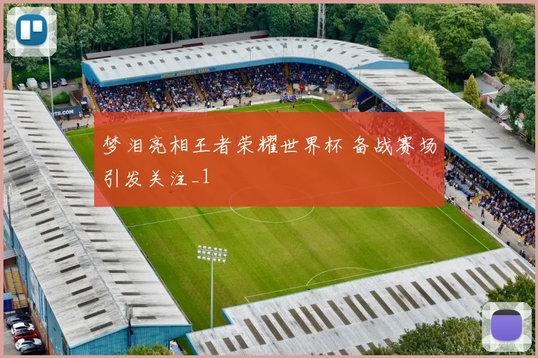 梦泪亮相王者荣耀世界杯 备战赛场引发关注_1