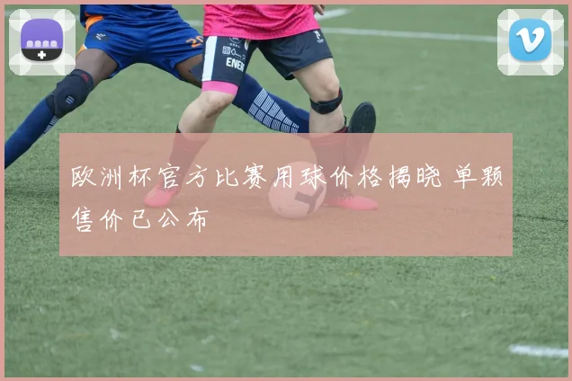 欧洲杯官方比赛用球价格揭晓 单颗售价已公布