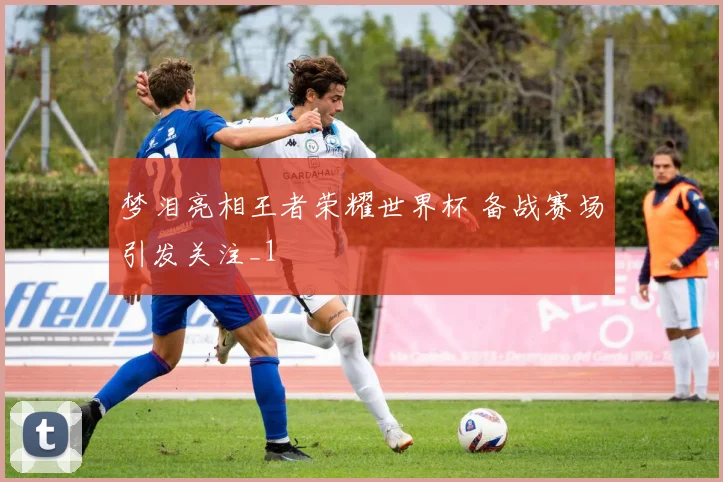 梦泪亮相王者荣耀世界杯 备战赛场引发关注_1