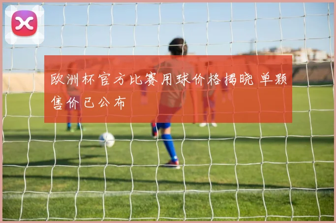 欧洲杯官方比赛用球价格揭晓 单颗售价已公布
