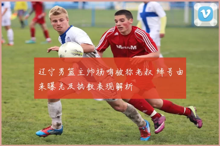 辽宁男篮主帅杨鸣被称老叔 绰号由来曝光及执教表现解析