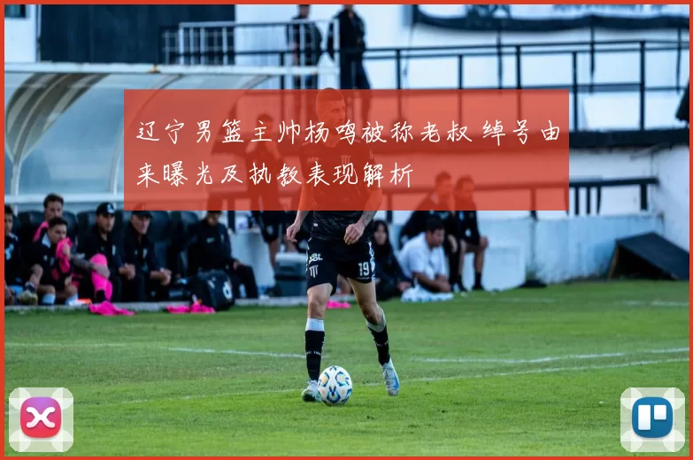 辽宁男篮主帅杨鸣被称老叔 绰号由来曝光及执教表现解析