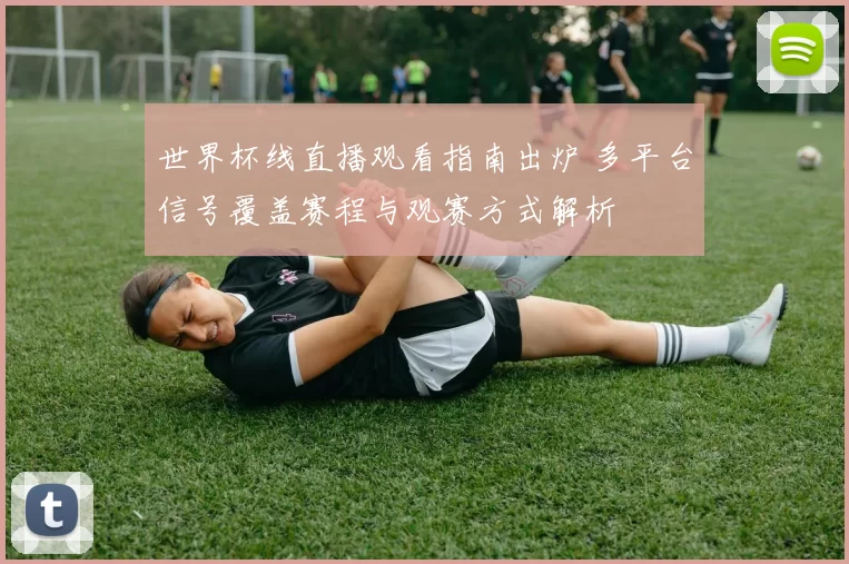 世界杯线直播观看指南出炉 多平台信号覆盖赛程与观赛方式解析