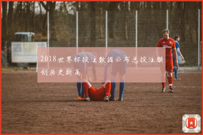 2018世界杯投注数据公布总投注额创历史新高