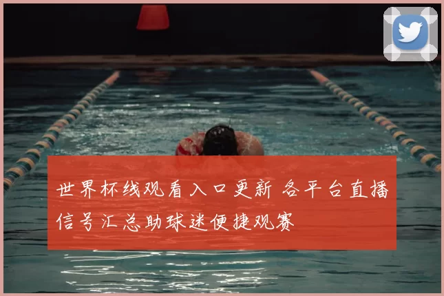 世界杯线观看入口更新 各平台直播信号汇总助球迷便捷观赛