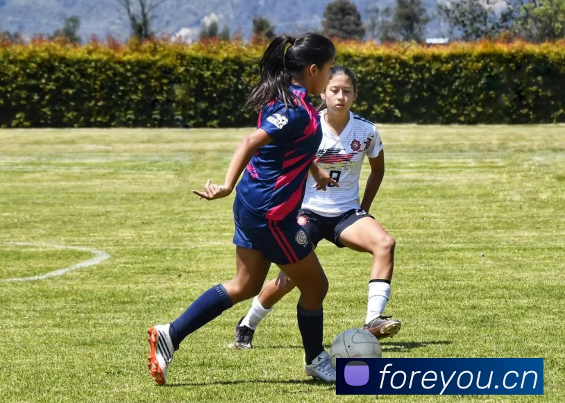 广威消防科技有限公司APP 封面图